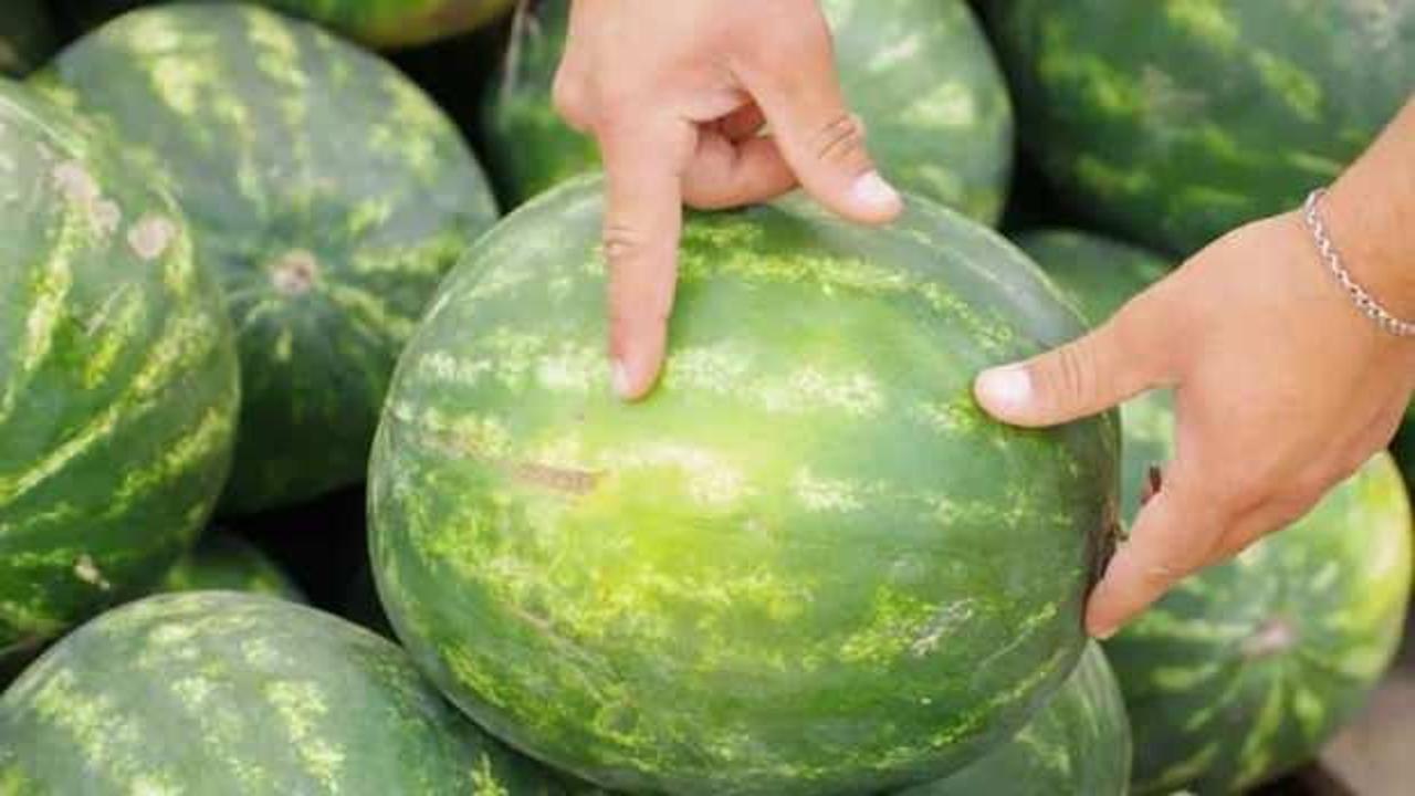Karpuz seçme çilesi bitiyor! En iyi karpuzu artık şıp diye bulacaksınız