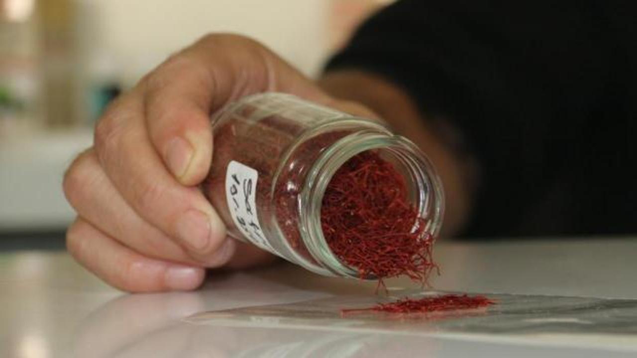 Kilosu 250 bin liradan satılıyor: Mısır püskülünden sahtesini yaptılar