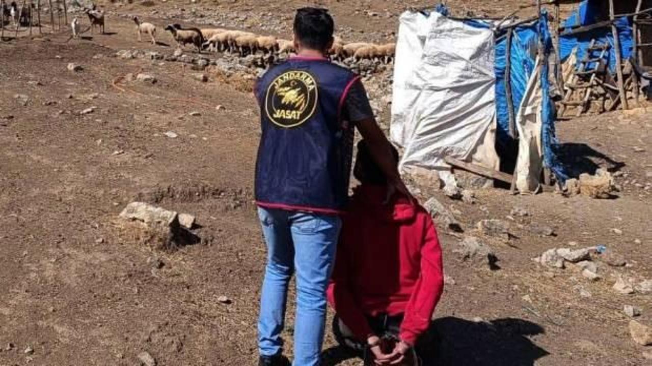 11 yıl hapisle aranan hükümlü, ormanda yakalandı