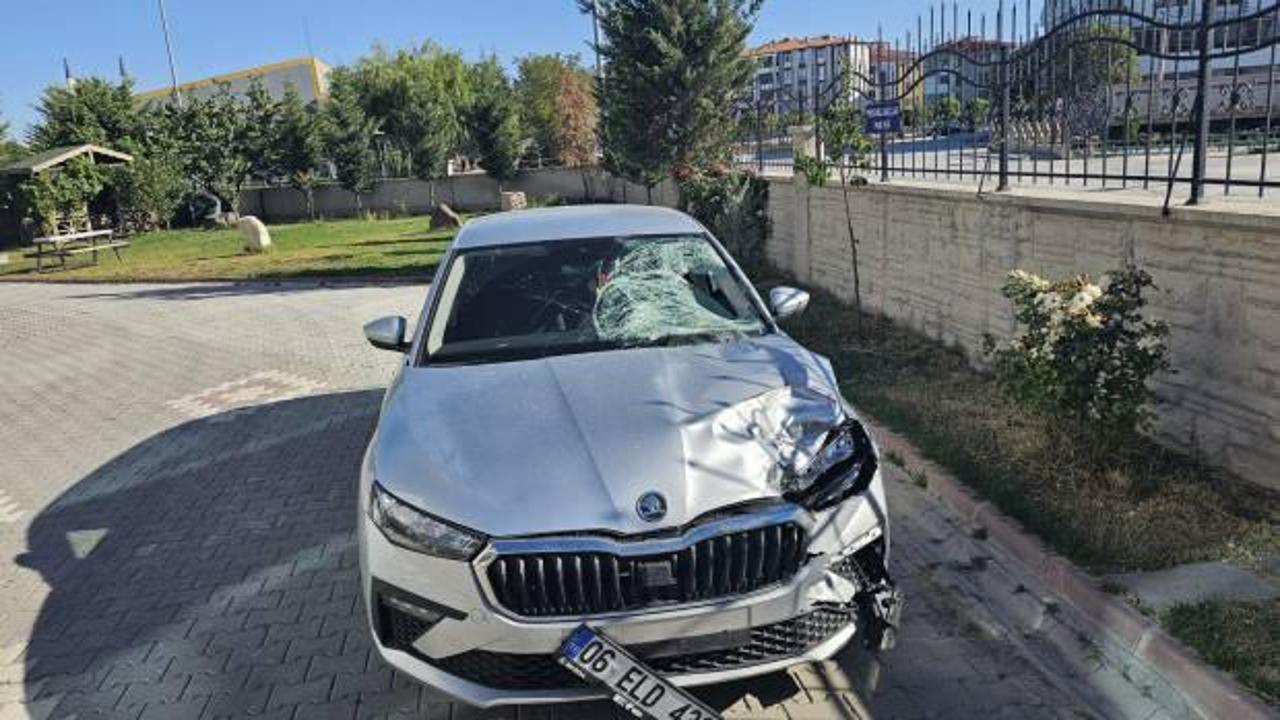 19 yaşındaki Halime'nin acı ölümü!