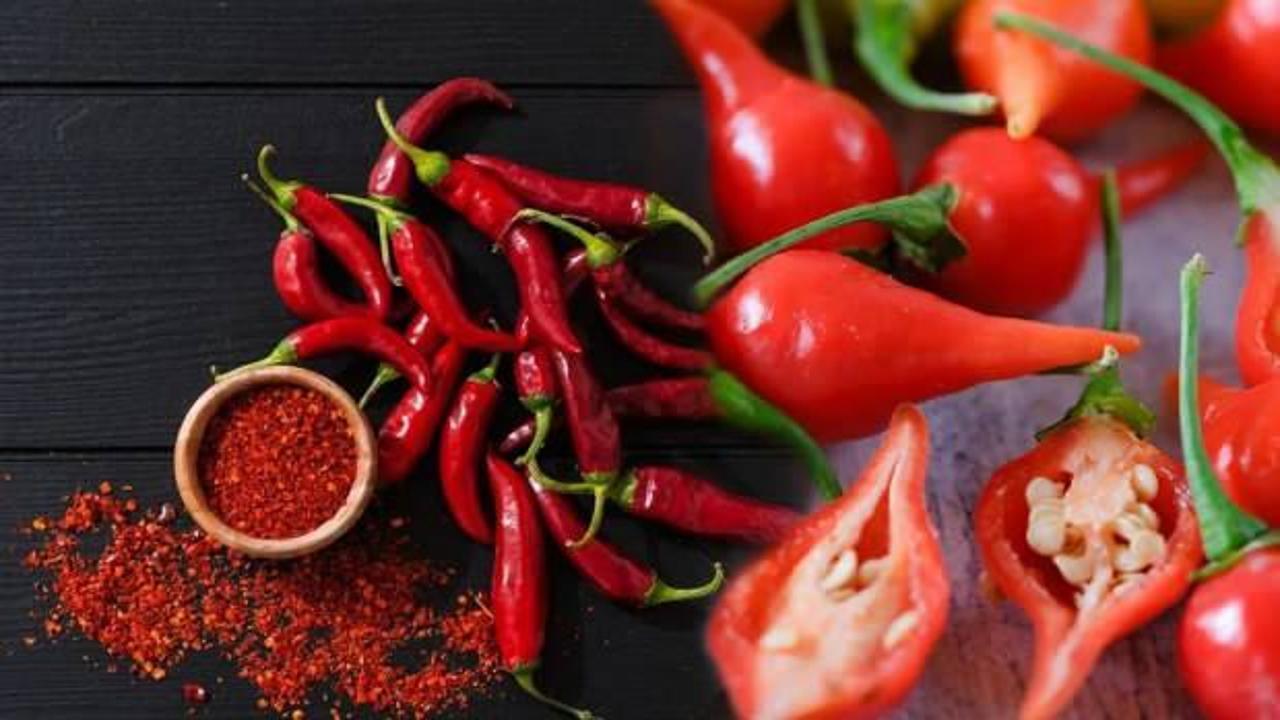 4 adımda biberinizin dilinden anlayın! Acı biber nasıl anlaşılır?