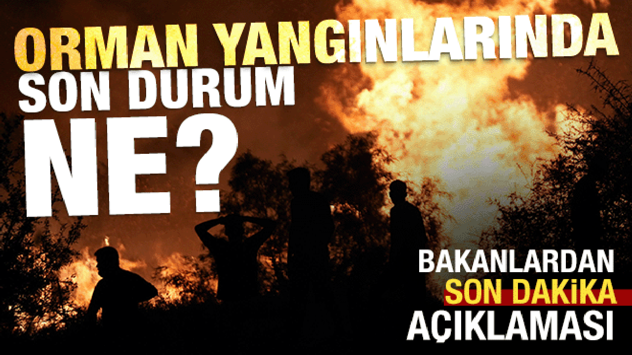 Alevlerle canhıraş mücadele! Orman yangınlarında son durum ne?