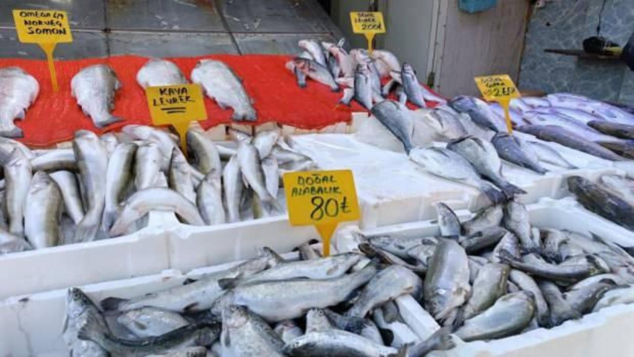 Balıkçıların gözü palamutta!