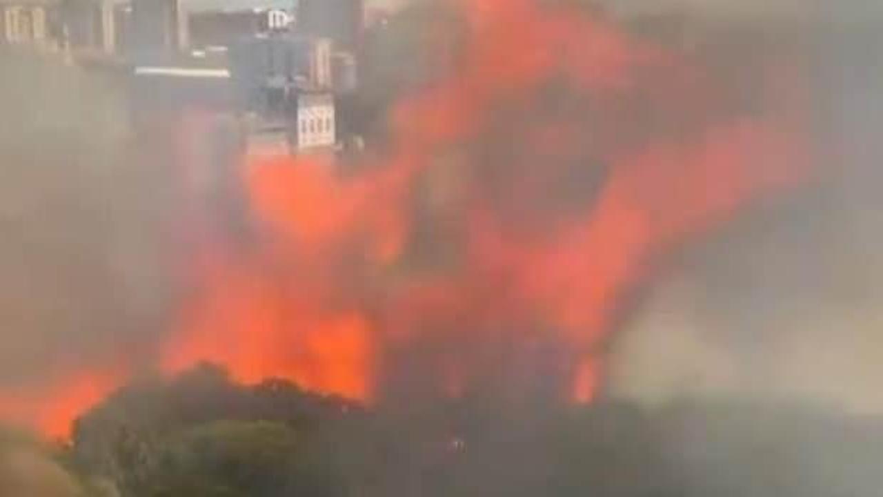 Başakşehir'de yangın: Ağaçlık alana sıçradı