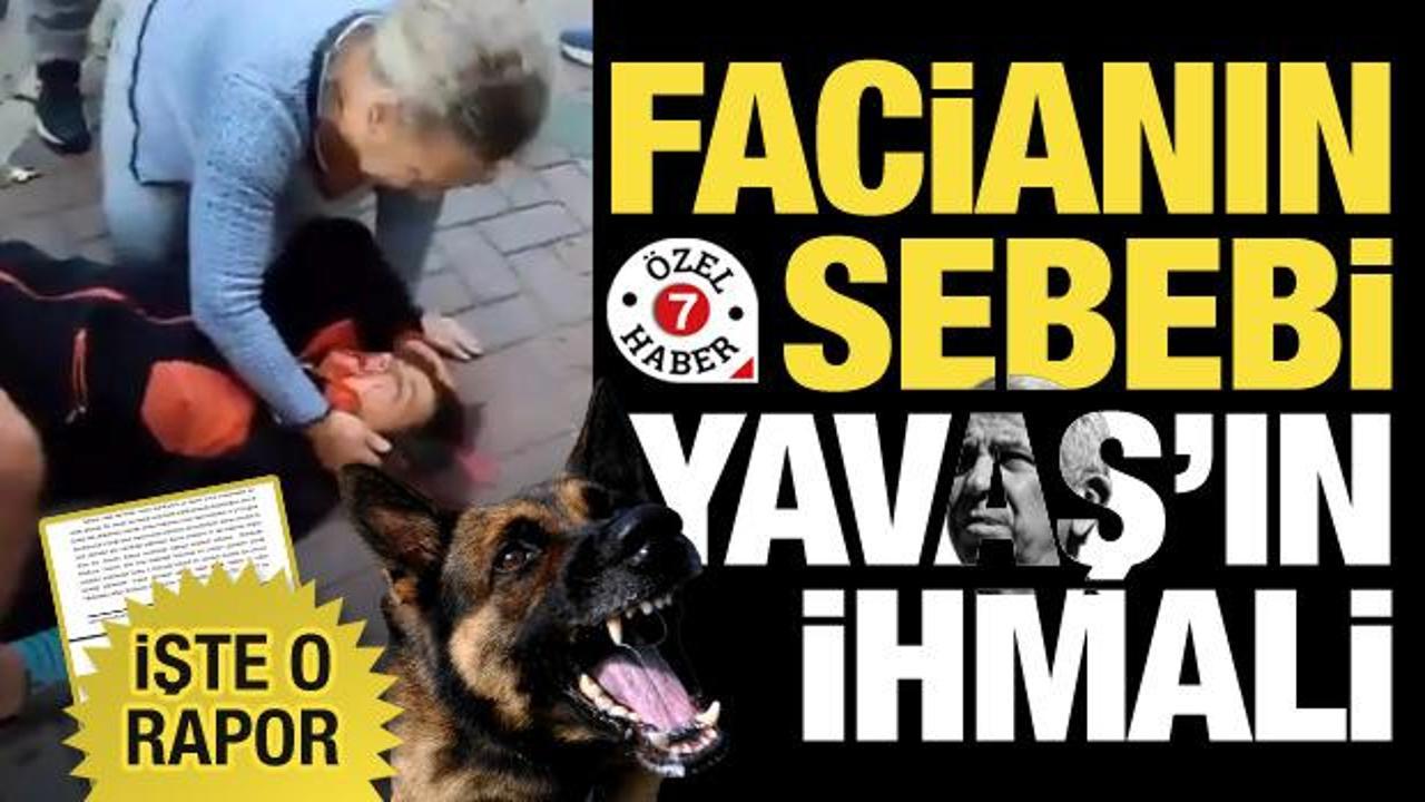 Başıboş köpek faciası göz göre göre gelmiş! ABB'nin ihmalkarlığı Sayıştay raporunda