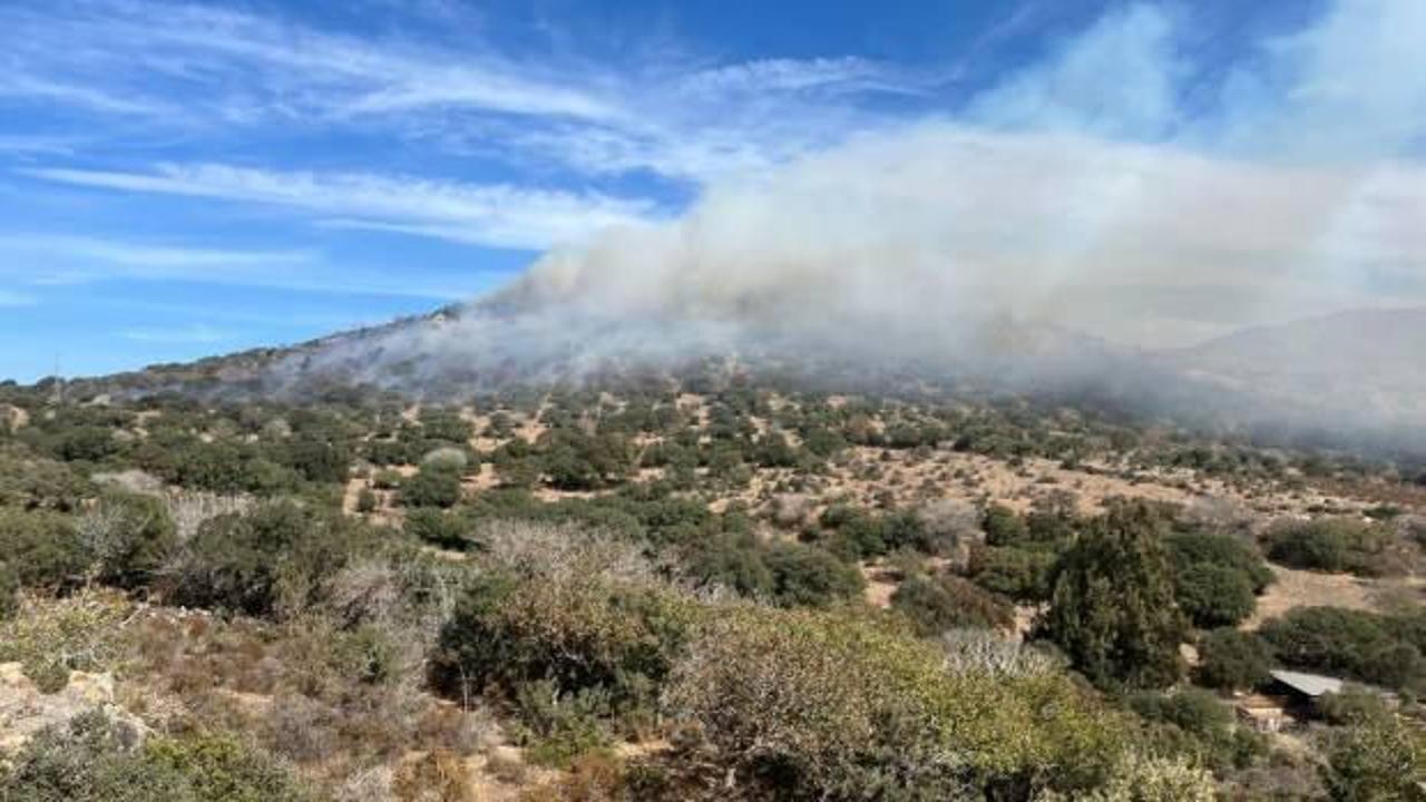 Bodrum’da maki yangını, 5 hektar alan zarar gördü