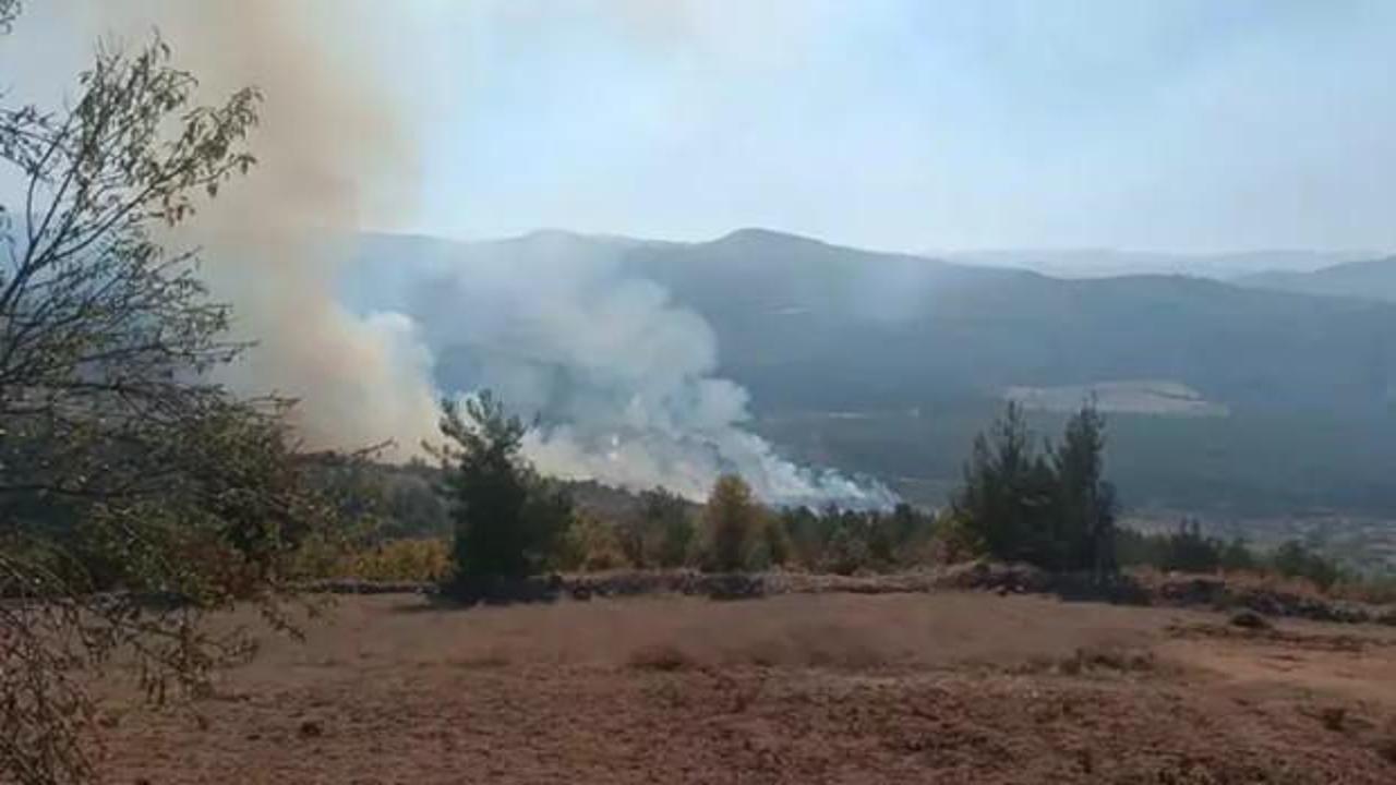 Bursa'nın 2 ilçesinde orman yangını
