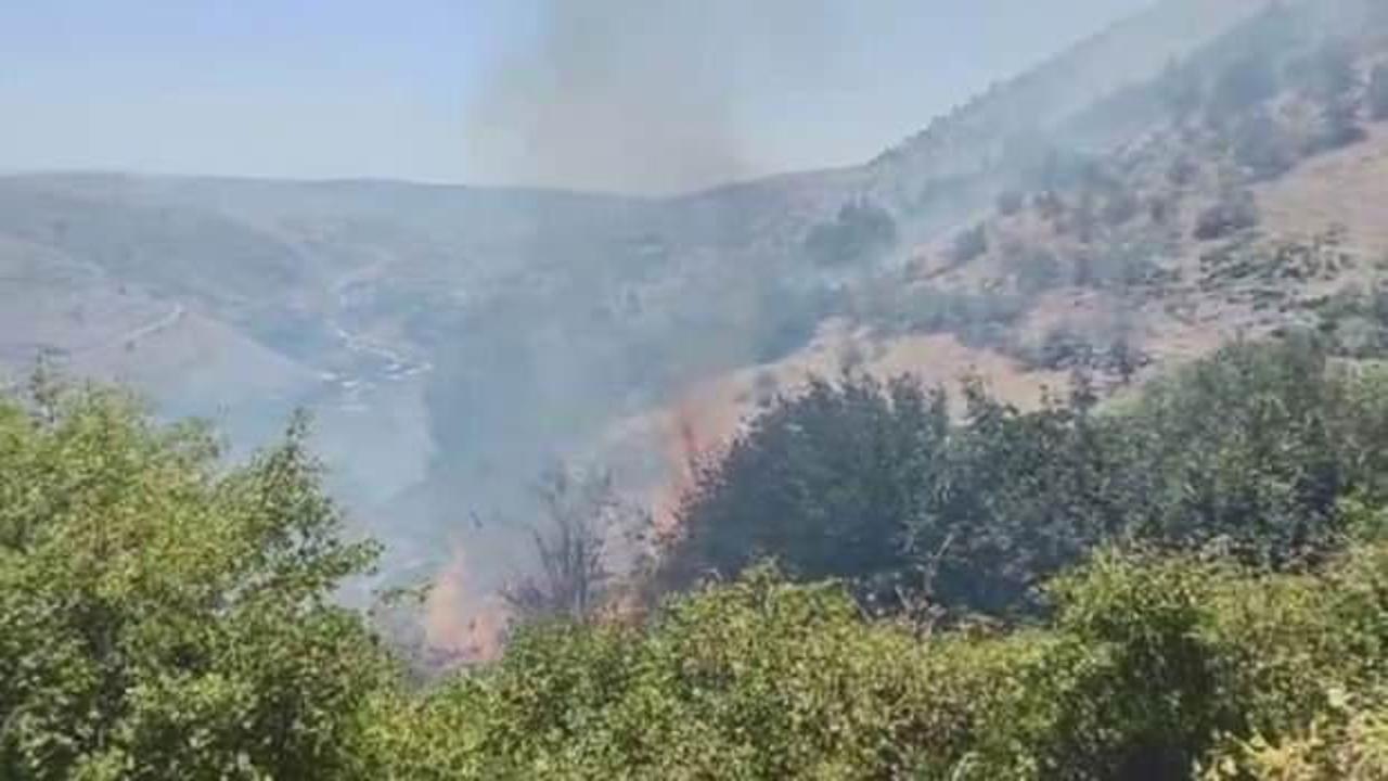Diyarbakır'da ormanda örtü yangını