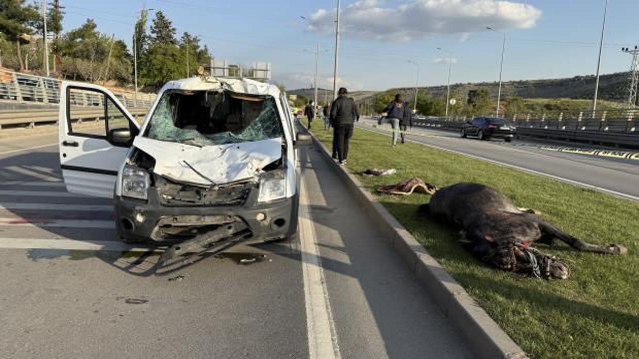 Gaziantep'te polis aracı başıboş ata çarptı: 1'i ağır, 2 polis yaralandı
