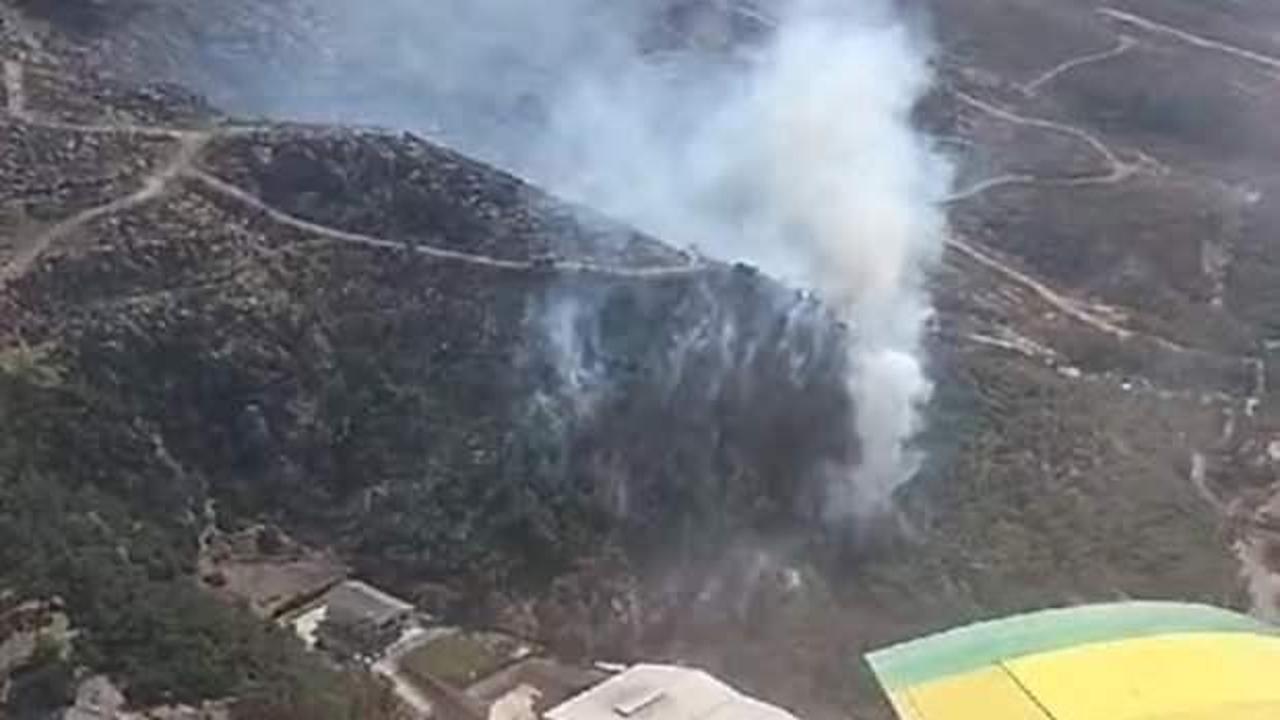 İzmir Foça'da orman yangını