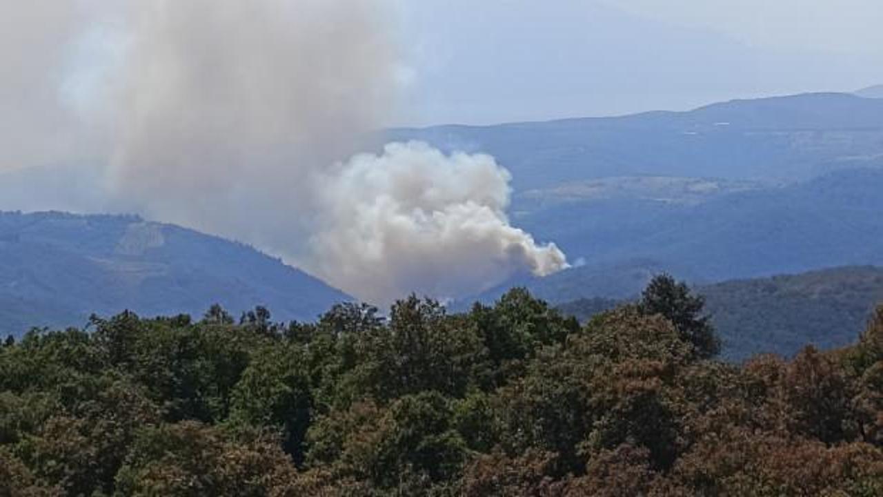 İznik'te orman yangını!