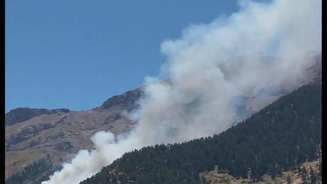 Kahramanmaraş'ta orman yangını söndürüldü