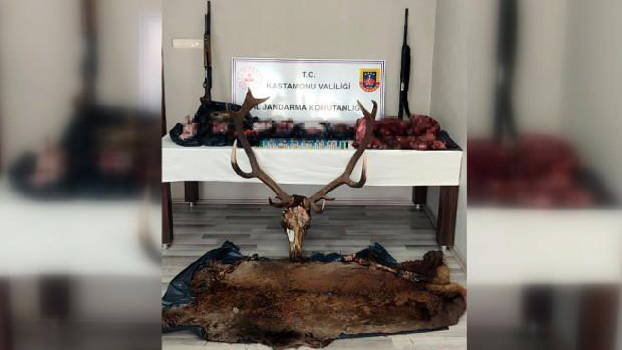 Kastamonu'da geyik avcılarına 443 bin 426 TL para cezası