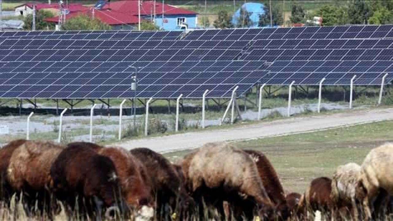 Köylerdeki sondajlı suyun maliyeti güneş enerjisiyle büyük oranda düştü
