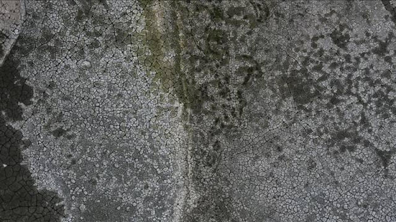 Ladik Gölü kuraklığın etkisiyle küçülüyor