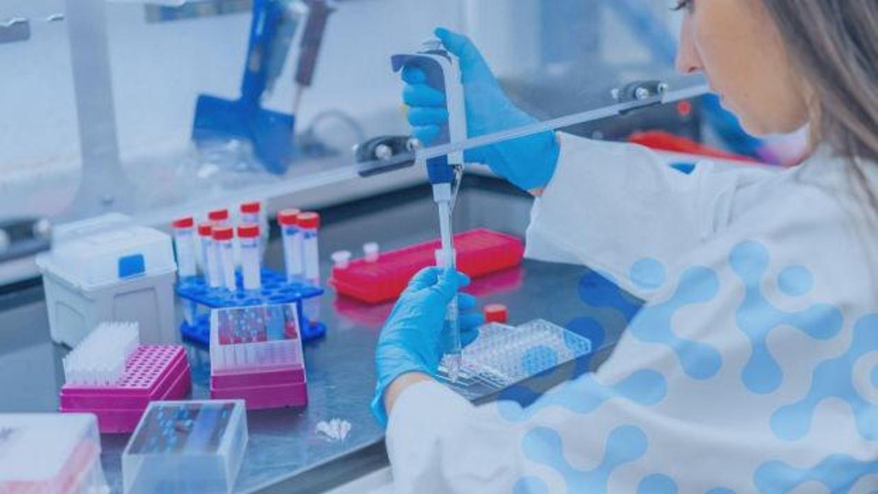 Memişoğlu'ndan yönetmelik açıklaması: Dünyaya örnek olacak yeni bir dönemi başlatıyoruz