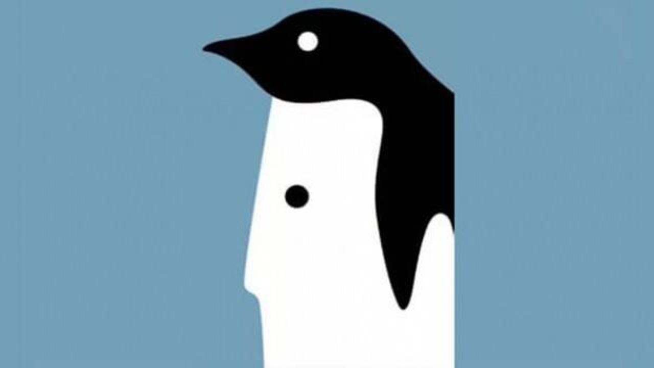 Optik illüzyonlarla kişilik analizi: Penguen mi, adam mı?