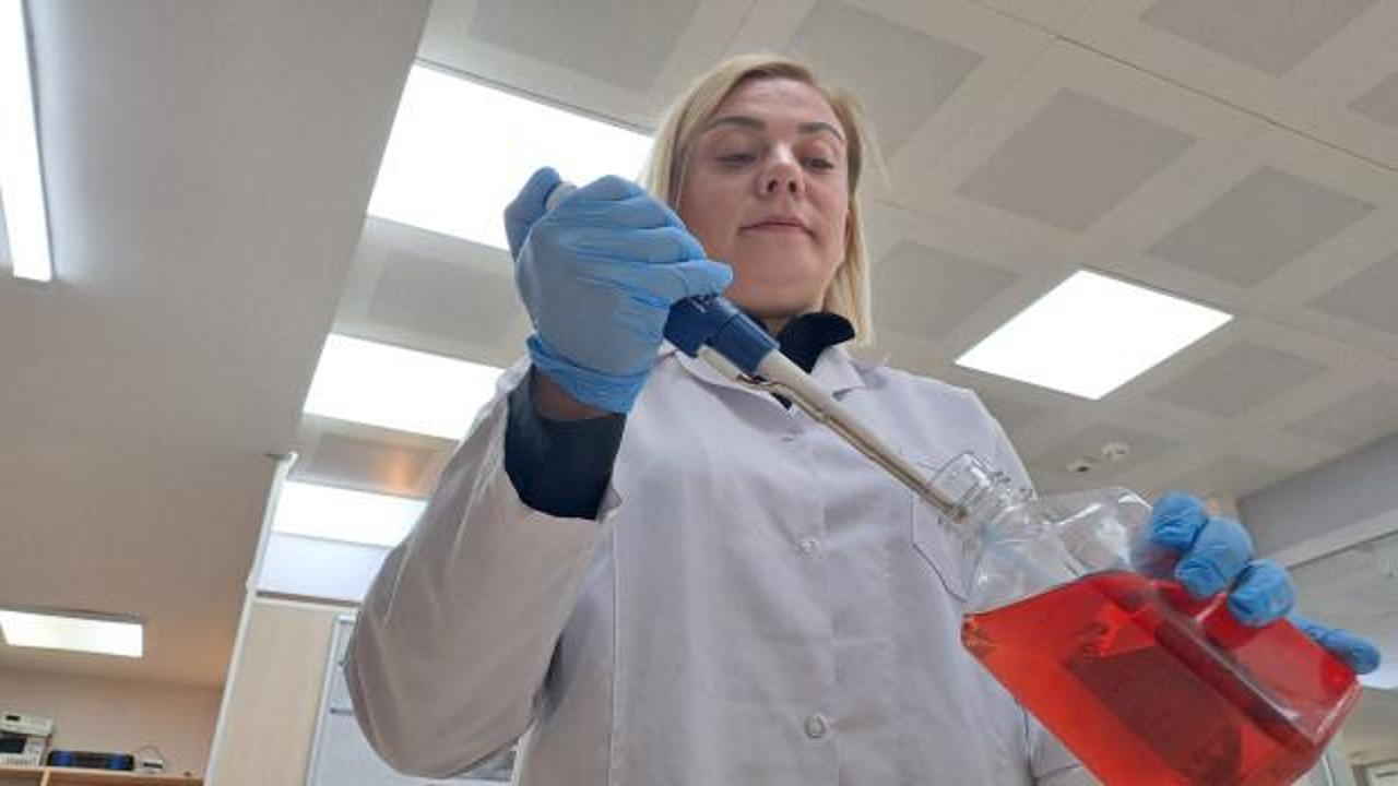 Sakarya'da geliştirilen bor tabanlı kanser tedavisi projesi yüzde 80 başarı sağladı