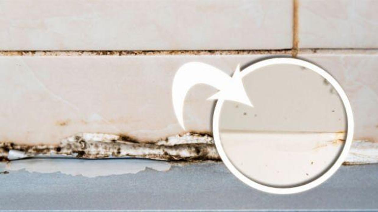 Silikon yüzeylerdeki küf nasıl yok edilir? 1 mutfak malzemesiyle 10 dakikada profesyonel temizlik yöntemi