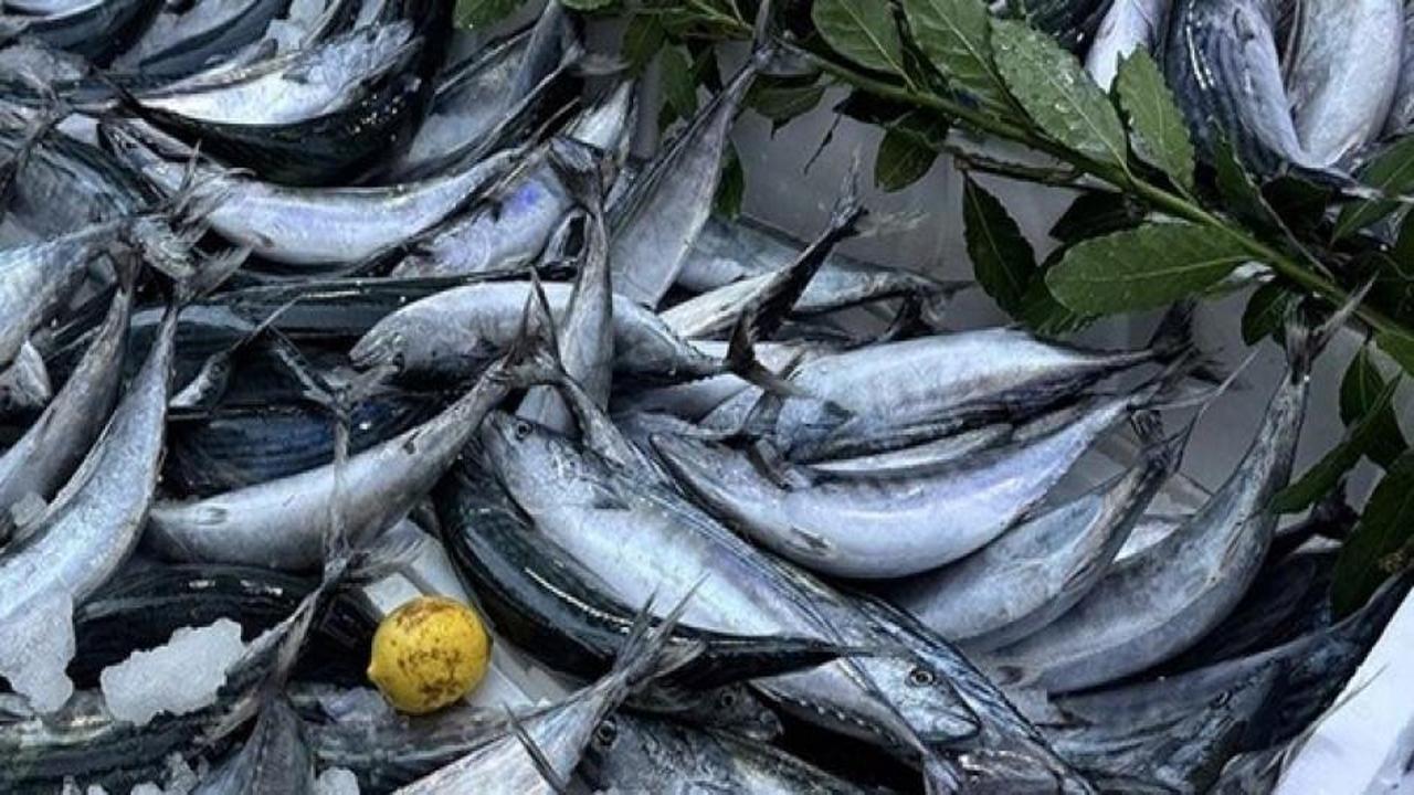 Sürdürülebilir balıkçılık için 