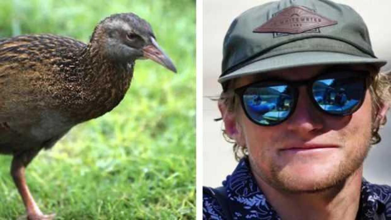 Survivor yarışmacısı nesli tükenmekte olan kuşu yedi, diskalifiye oldu