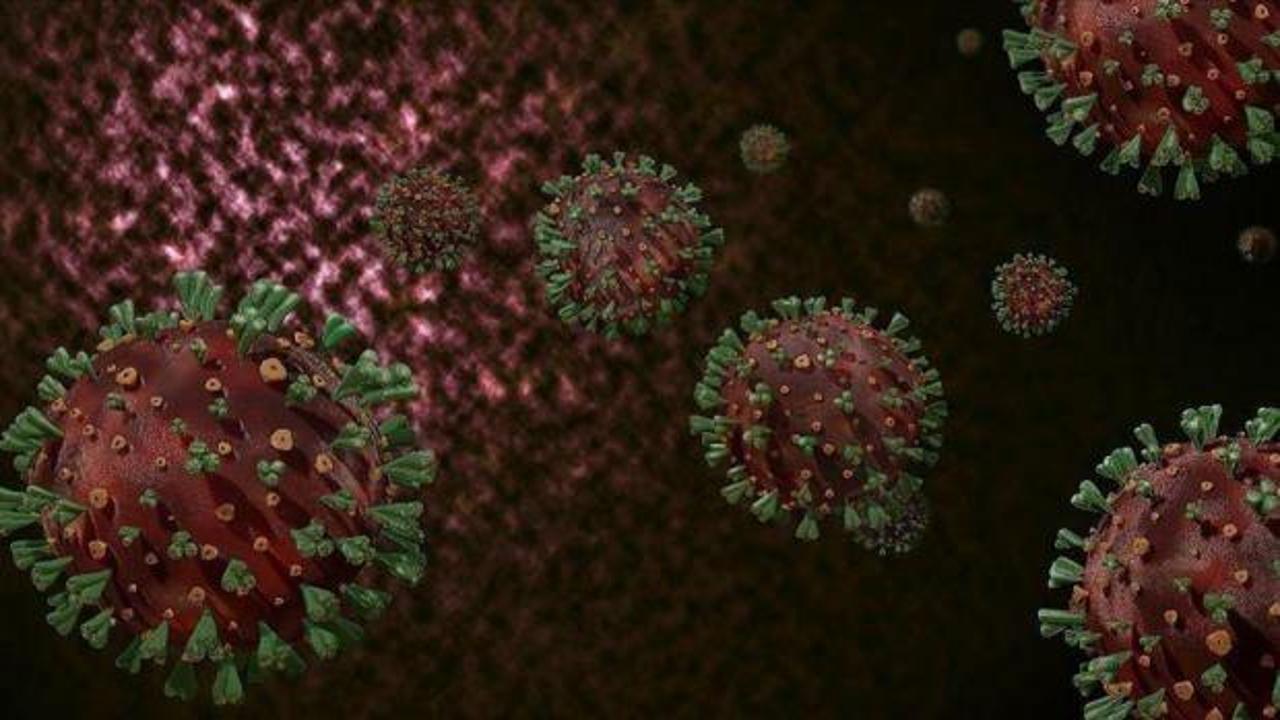 Tayvan'da 4 yeni Maymun çiçeği vakası görüldü!