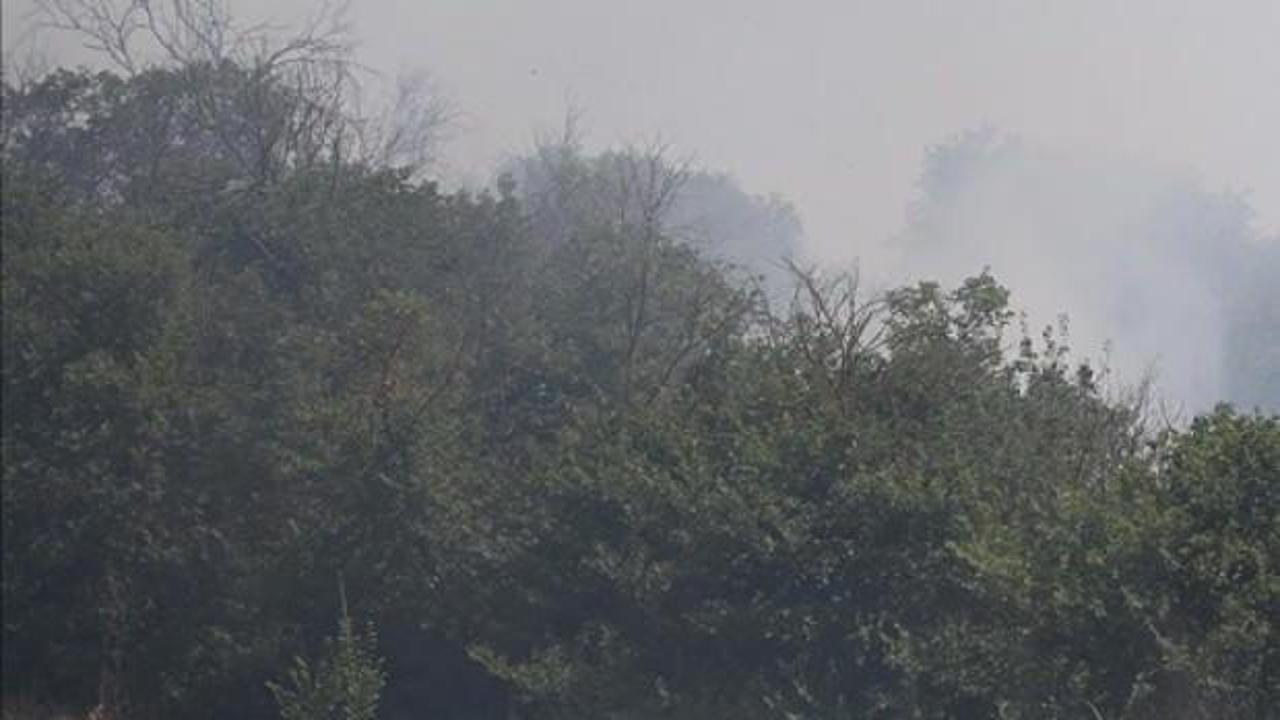 Trakya'da yangınlardan zarar gören orman alanı bu yıl yaklaşık 5 kat arttı