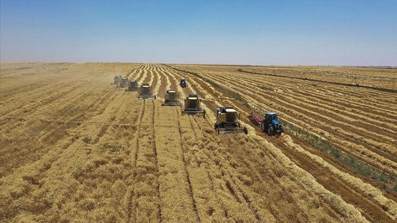 Türkiye'nin tarım sigortaları tecrübesi Türk devletlerine aktarılacak
