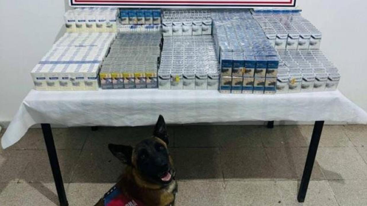 Van'da 3 bin 75 paket kaçak sigara ele geçirildi