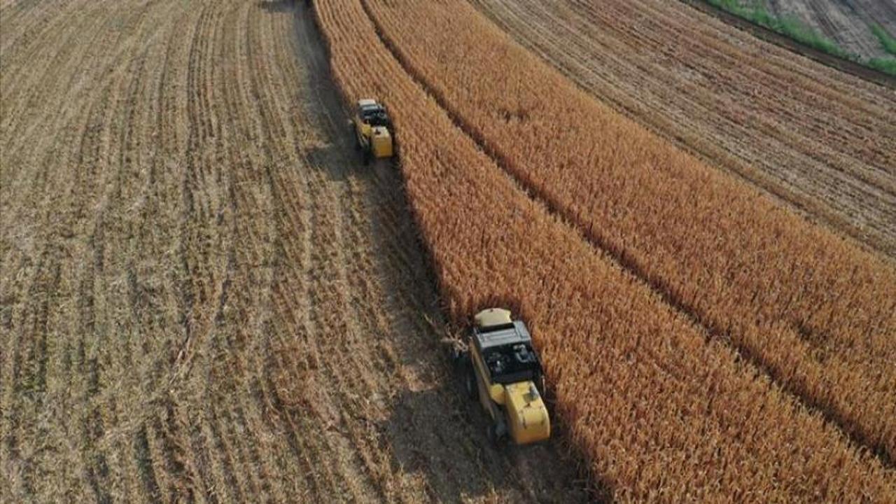 Yılın ilk 6 ayında çiftçilere 89,7 milyar liralık tarımsal destek ödemesi yapıldı